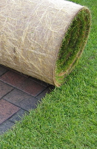 Richard King Consultancy Arts, Heritage and Project Management Beam Public Arts The Green